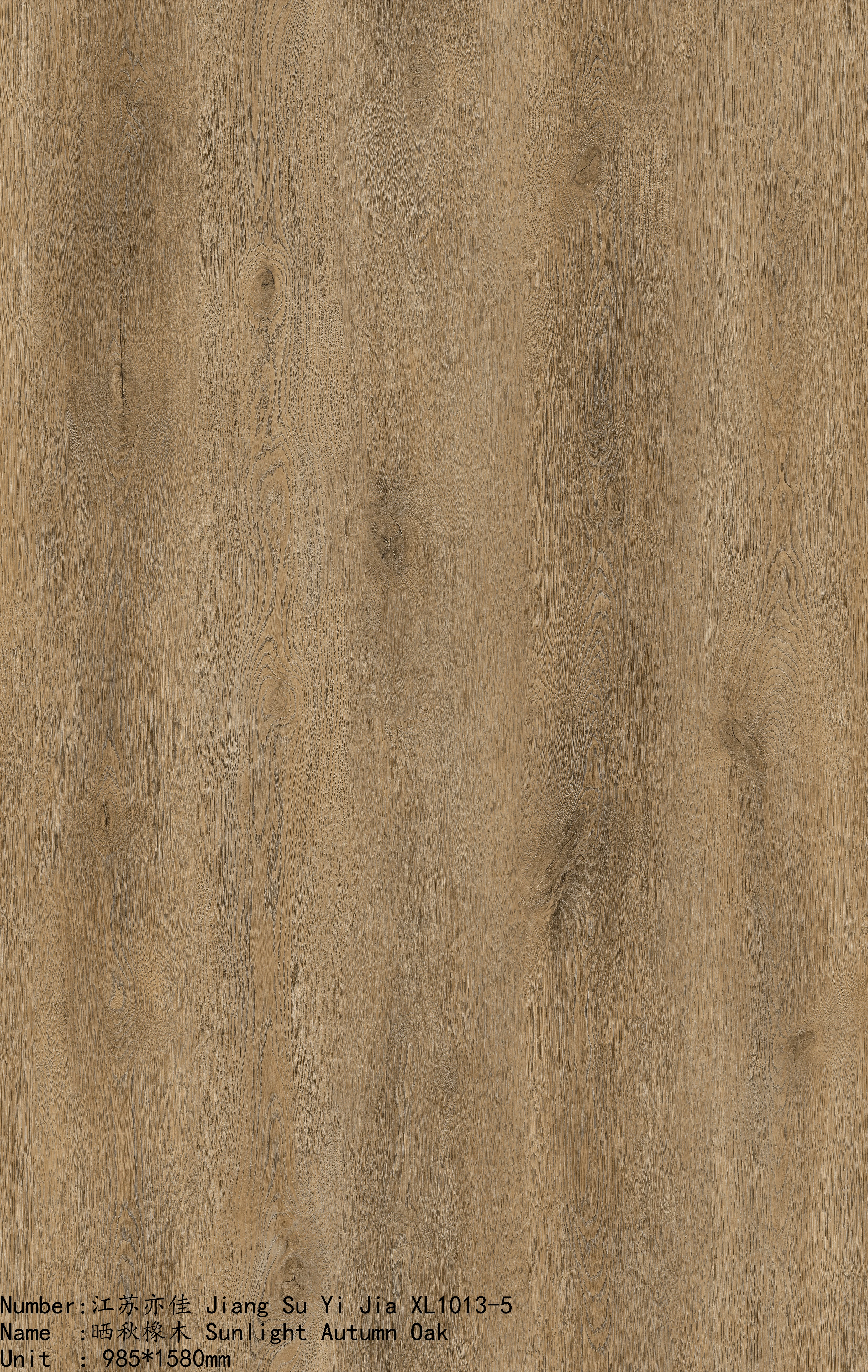 XL1013-5